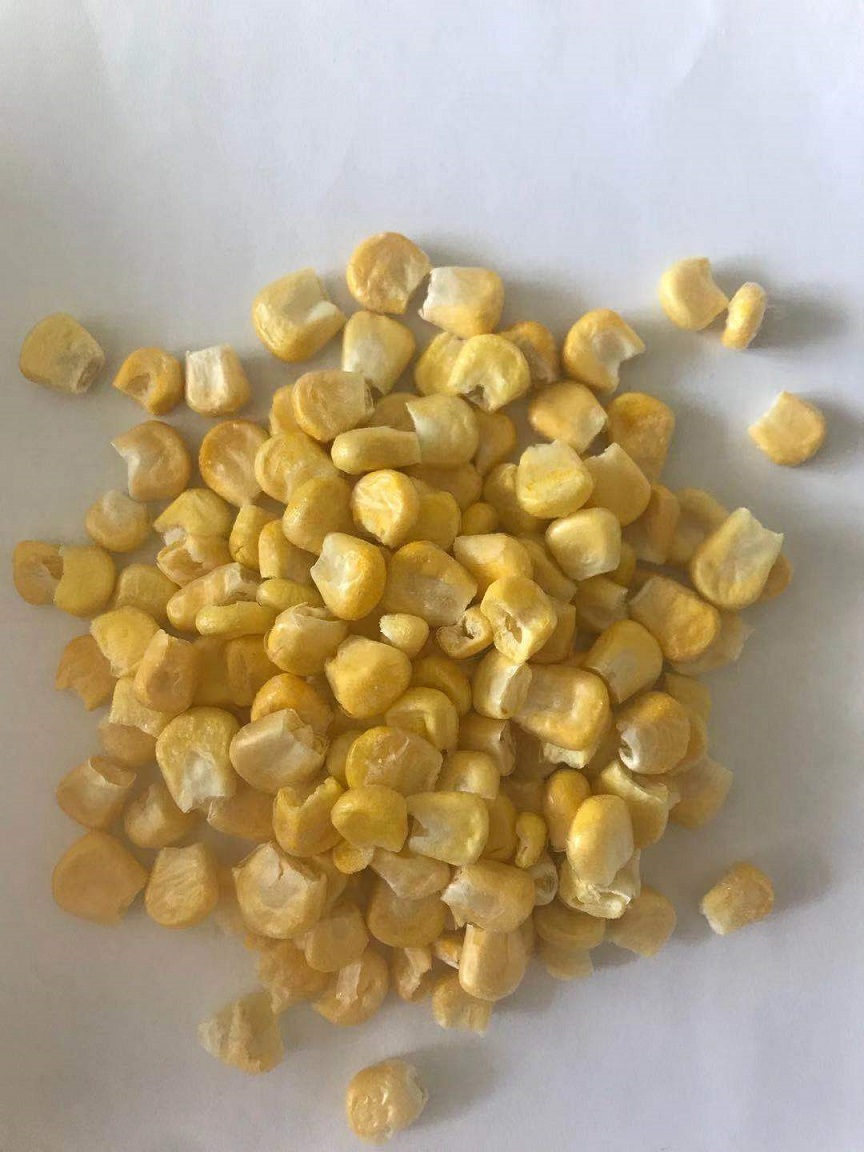 FD yellow corn<